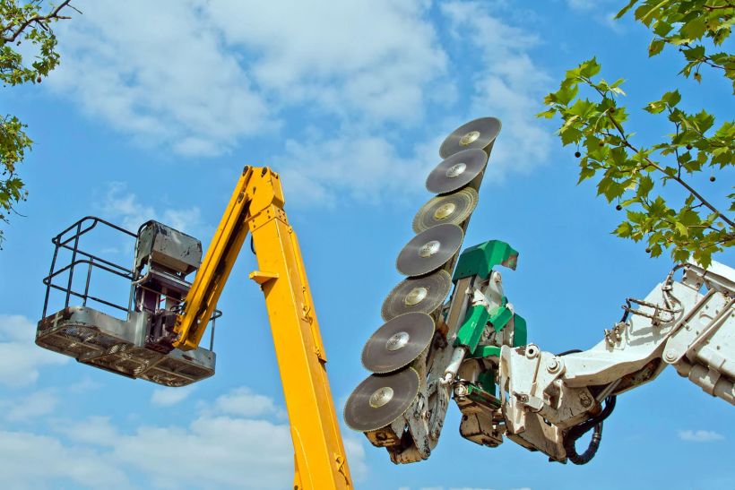 Élagage et Abattage - SOLUTYS Espaces Verts, votre spécialiste des espaces verts