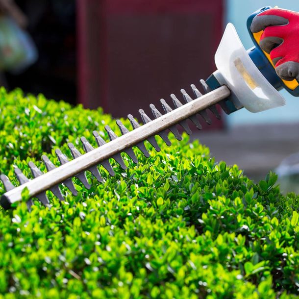 Élagage et Abattage - SOLUTYS Espaces Verts, votre spécialiste des espaces verts